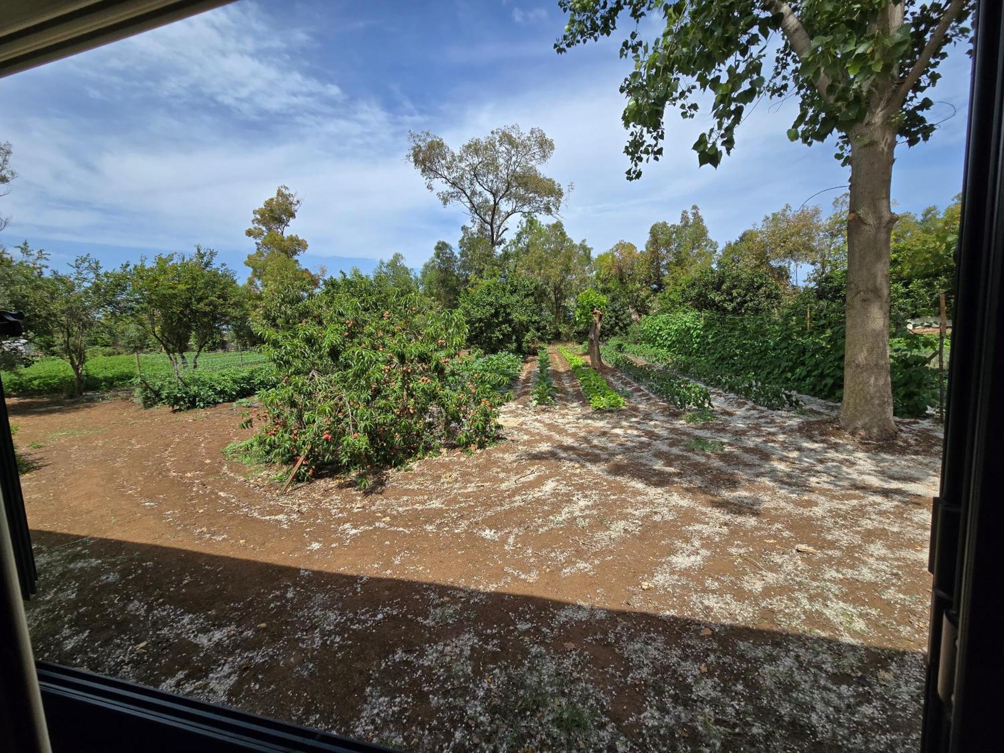 Ovile la Marina Village Camping Fico D'India חדר תמונה