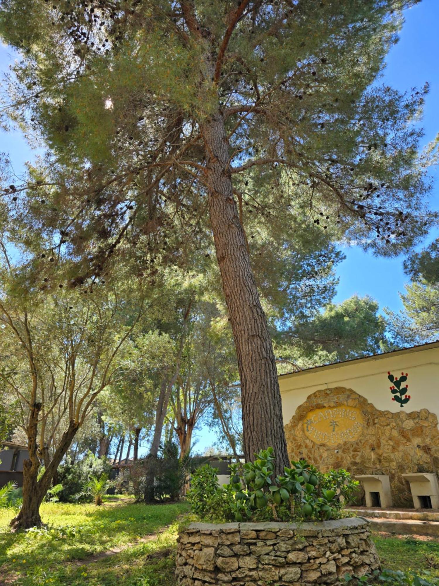 Ovile la Marina Village Camping Fico D'India מראה חיצוני תמונה