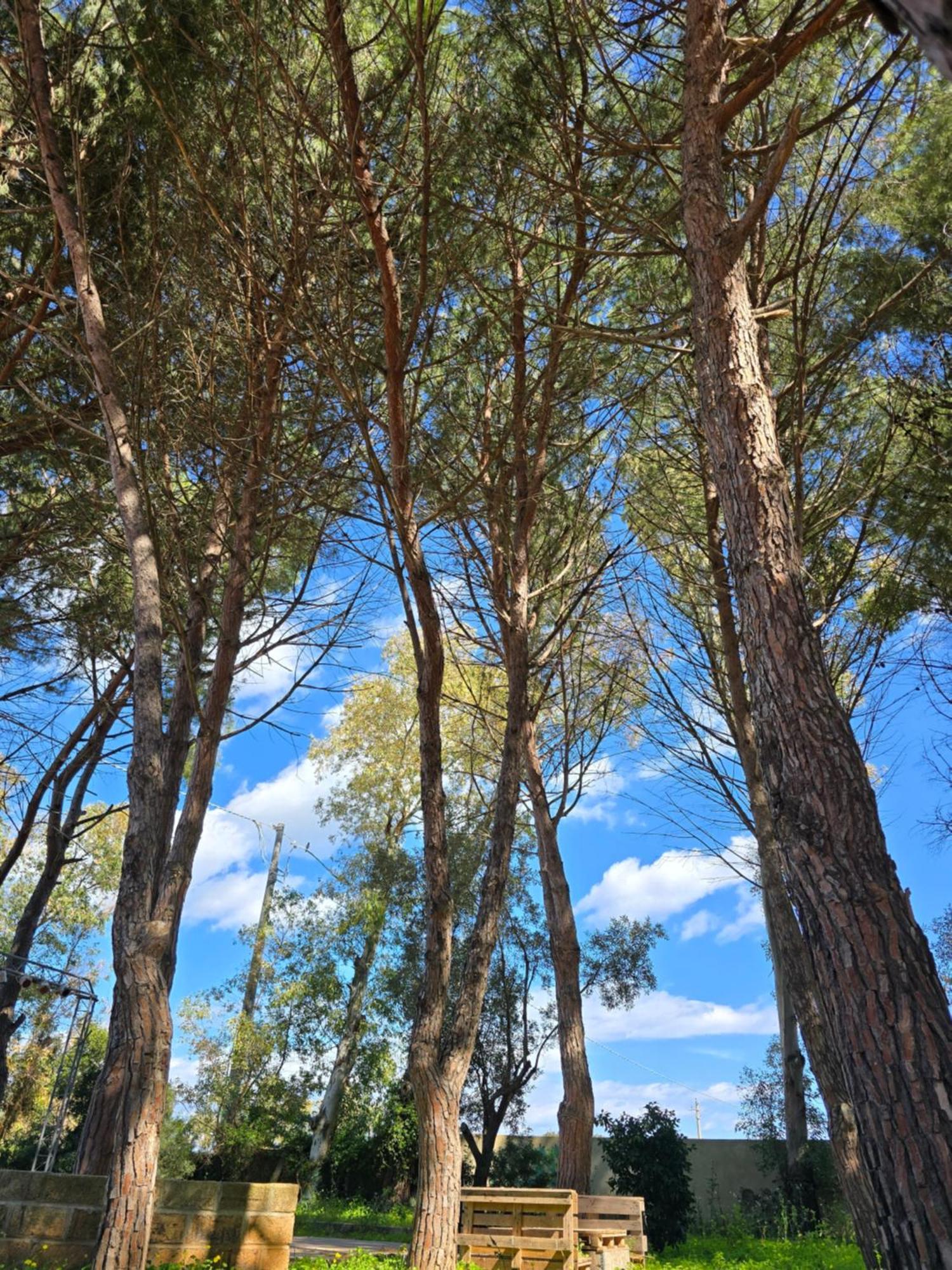 Ovile la Marina Village Camping Fico D'India מראה חיצוני תמונה