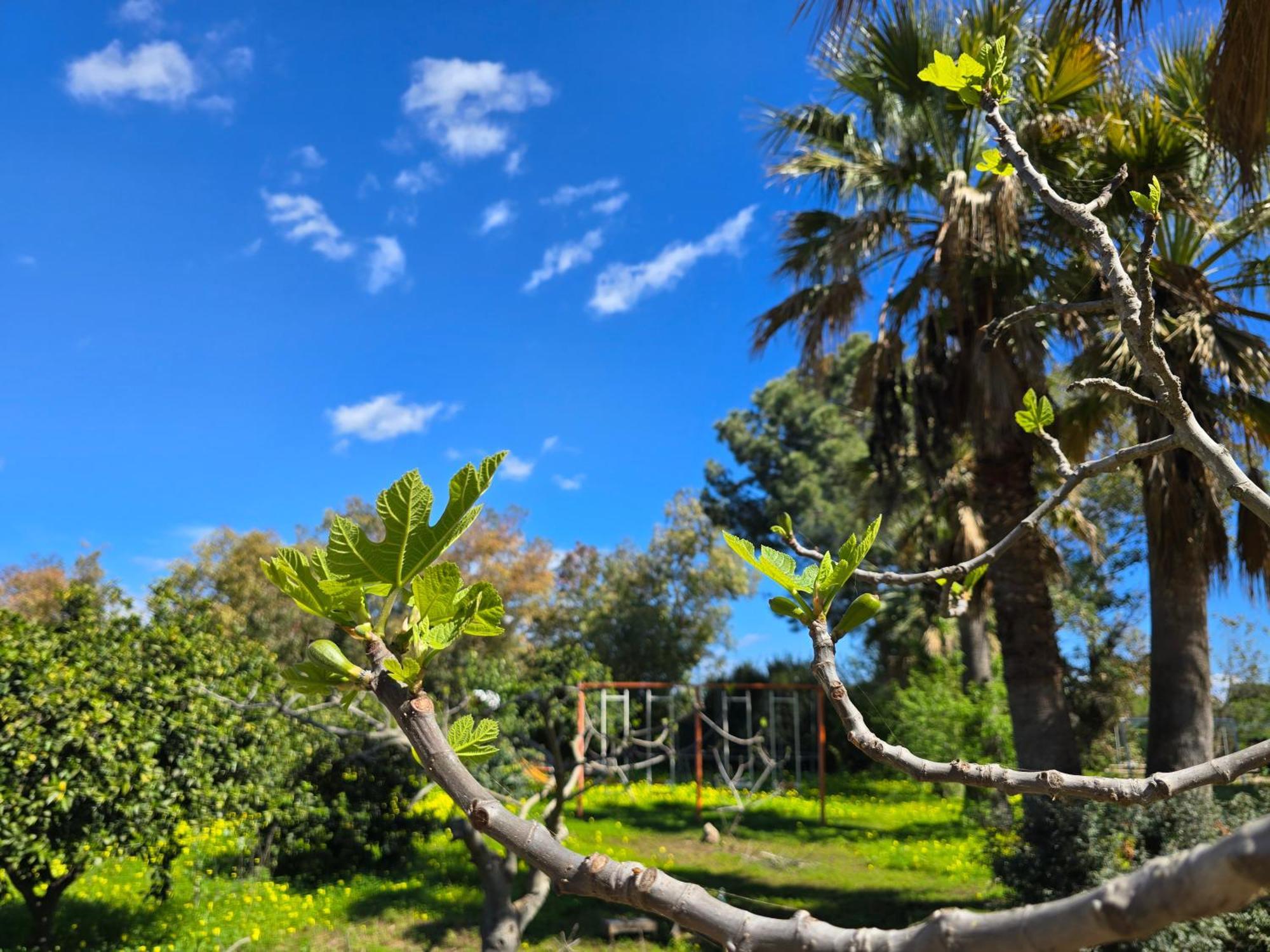 Ovile la Marina Village Camping Fico D'India מראה חיצוני תמונה